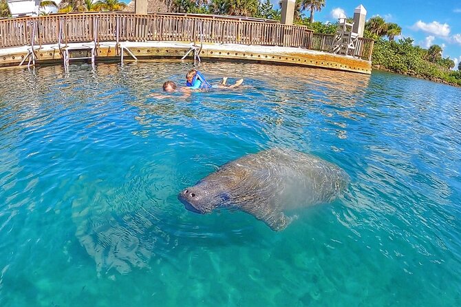 Paddle Boarding Activity to Peanut Island Review - Photo Memories: Capturing Your Adventure