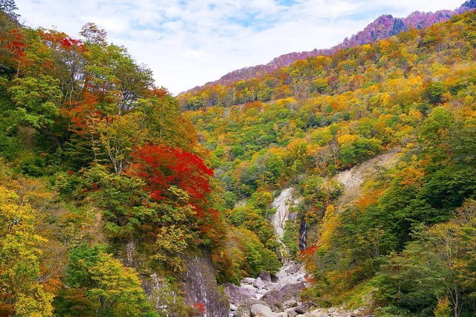 Port Pick-Up: Niigata Private Tour Licensed Guide＆ Vehicle - Ratings and Reviews