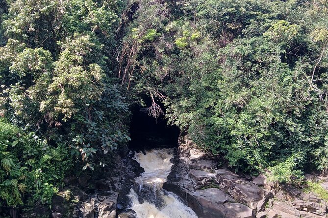 Private Hilo Shore Excursion Review - Recommendations and Tips for Future Travelers