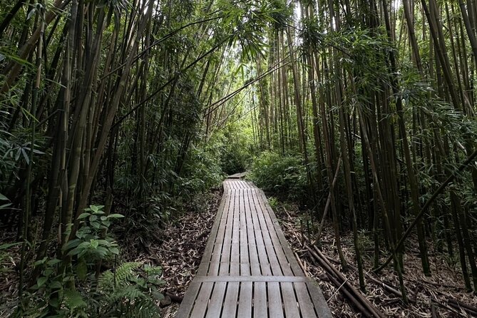 Private Pipiwai Trail Maui Open-Air Jeep Tour - Recap
