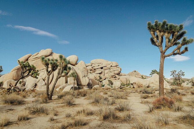 Red Rock Canyon & Calico Basin Self Guided Audio Tour - Frequently Asked Questions