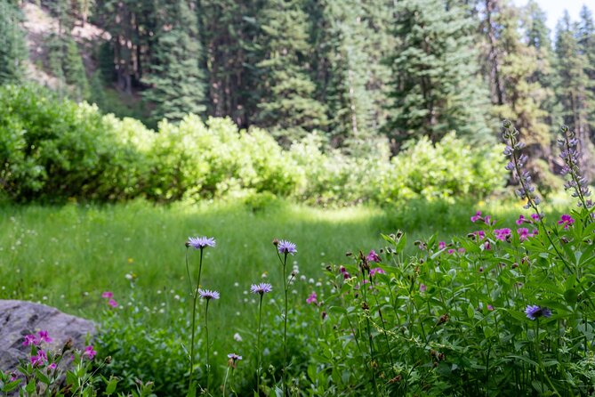 Shaka Guide: Crater Lake National Park Audio Tour Guide - Recap