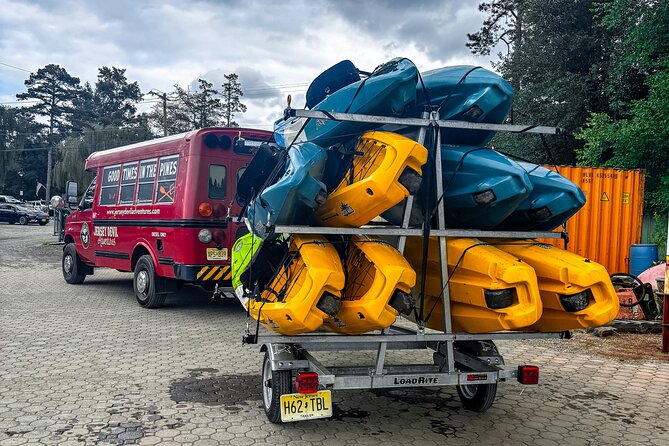 Short River Kayak Tour in New Jersey Review - Tips for First-Time Kayakers