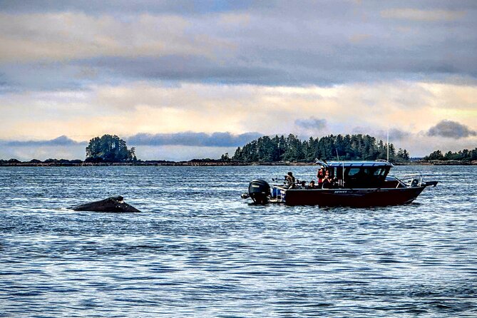 Sitka'S Private Wildlife Whale Adventure for 6 W/Transportation - Frequently Asked Questions