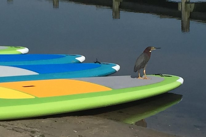 Sunset Paddleboard Excursion Review - Cancellation Policy and Flexibility