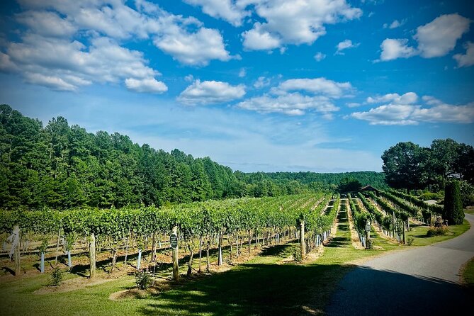 Three Vineyards Half Day Private Wine Tour Review - Personal Reflections and Recommendations