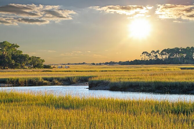 Tubing and Dolphins With up to 12 Guests - What to Expect on the Tour