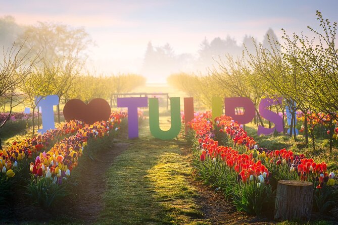 Tulip Valley Farms U Pick Experience - Location and Getting There