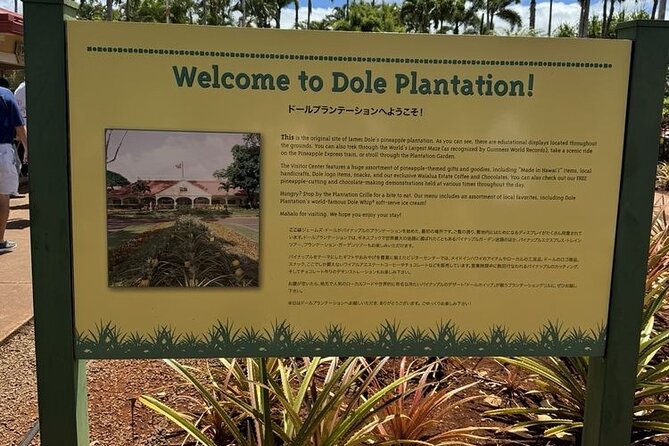 Turtle Snorkeling and Dole Plantation Tour Review - Final Thoughts and Recommendations