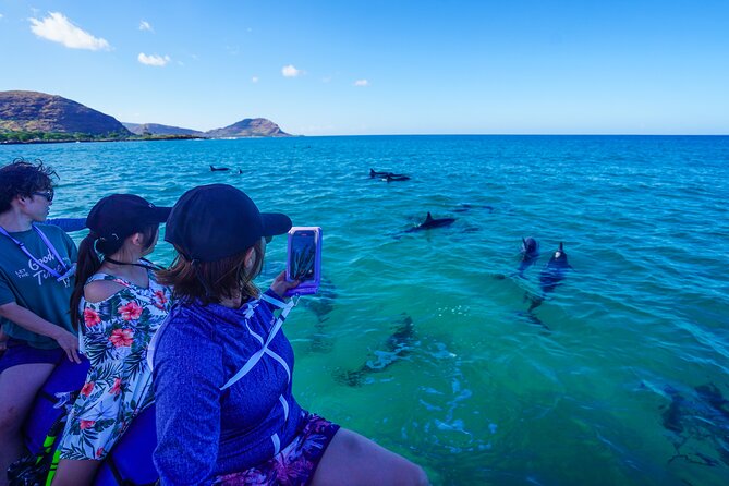Ultimate Kona Dolphin Watch Review - Final Thoughts on the Dolphin Watching Experience