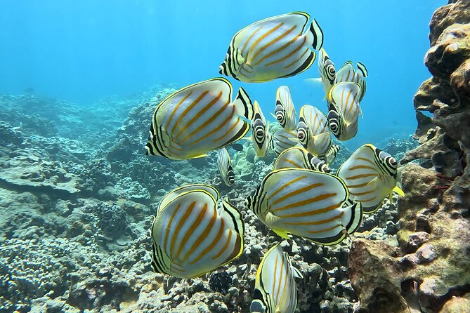 Unlimited Guided Snorkeling Tour Review - Understanding the Cancellation Policy