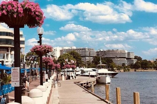Washington D.C Street Food Tour With A Local Guide - Savoring the Flavors: Food and Drink Tastings