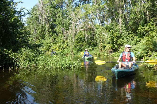 Wekiva River Kayak Tour Review - Accessibility Features of the Tour
