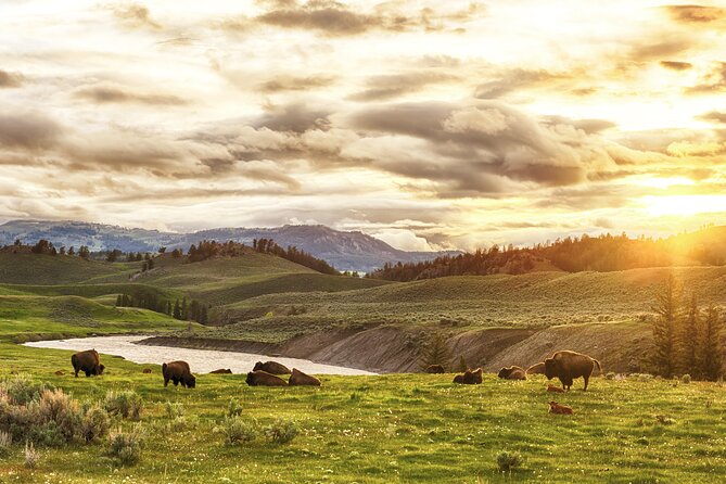 Yellowstone, Grand Teton, and Hot Springs Review - Highlights From the Tour Itinerary