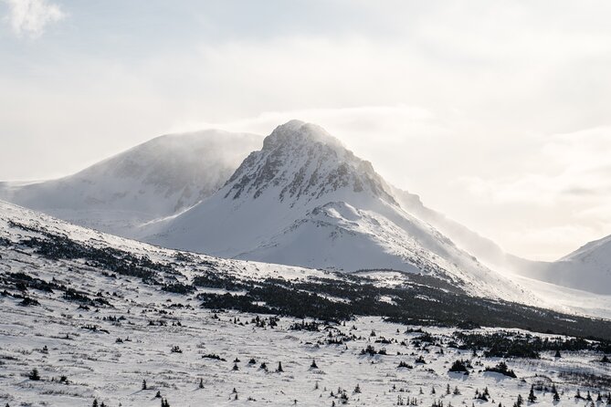 Advanced Snowshoeing Adventure - What to Expect on the Trail