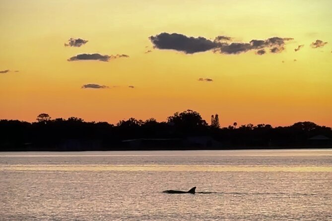 Clear Kayak Manatee Viewing Tour Review - Summary of Visitor Feedback and Ratings