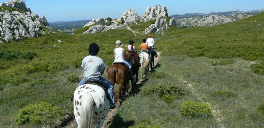 Countryside Immersion With Horseback Ride in Sainte Victoire