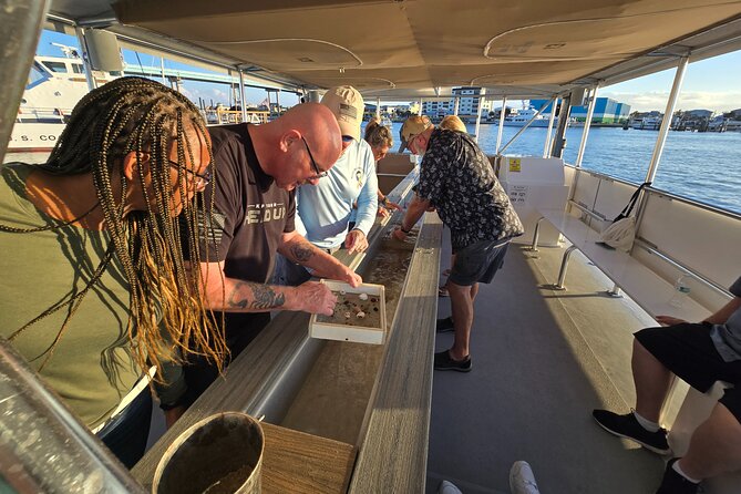 Fort Myers Beach Sightseeing Tour Review - Recommendations and Tips for Future Visitors