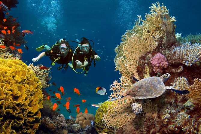 Full-Day Private Tour in Key West - Frequently Asked Questions