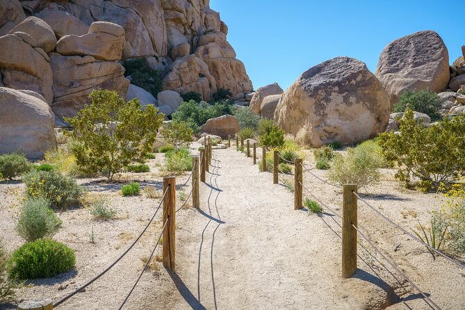 Joshua Trees Hidden Valley Tour Review - Summary of the Tour Experience and Recommendations