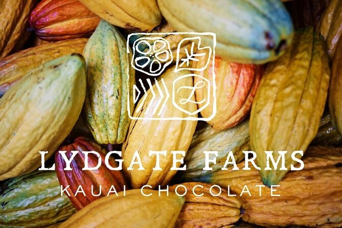 Kauai Chocolate Farm Tasting Tour