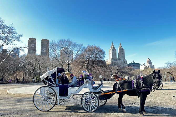 Luxury Horse and Carriage Tours Review - Customer Reviews and Ratings