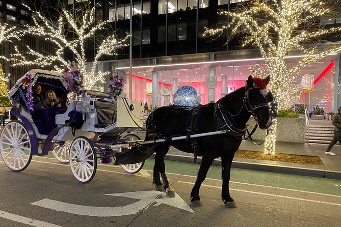 NYC Rockefeller Center Christmas Lights Ride Review - How to Prepare for Your Ride