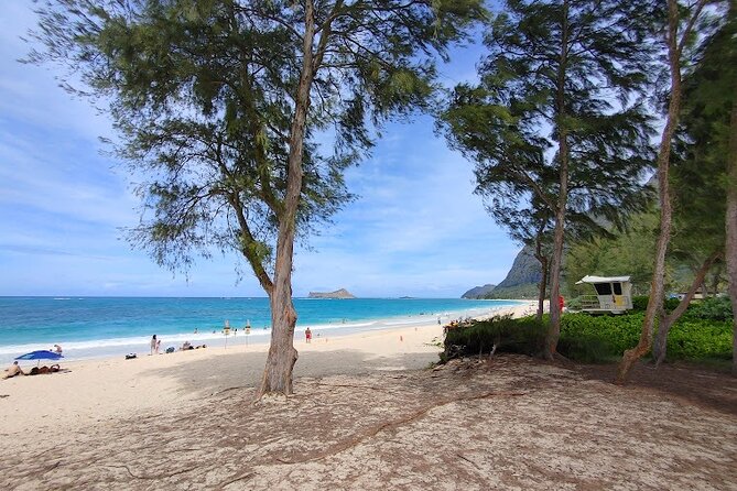 Oahu Island Jeep Tour - Recap