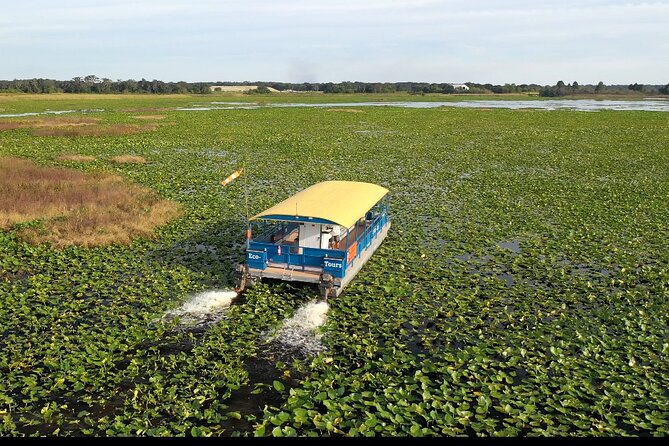 90 Minute Pontoon Cruise in Florida Review - About Your Stay