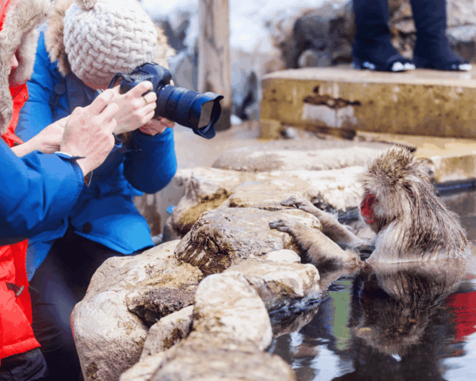 【Private】[Snow Monkey + Togakushi Shrine] From Nagano/Myoko - FAQ