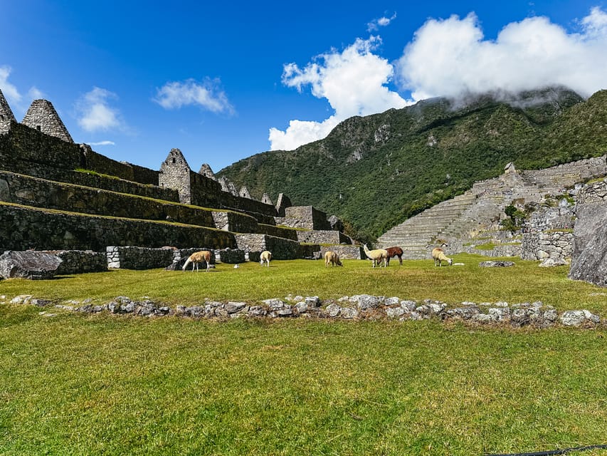Machu Picchu: Circuit 1 Entry Ticket - Frequently Asked Questions