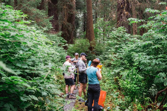 Adventure Hike | ALASKAN WILDERNESS TRAIL