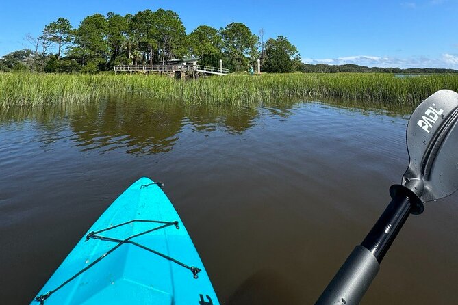 Amelia Salt Marsh Paddle Review: Explore Nature's Beauty - About Your Stay