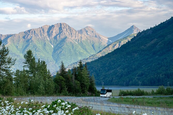 Anchorage to Seward Wildlife Adventure Review - About Your Stay