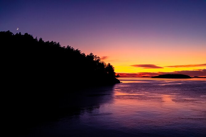 Bioluminescence and Sunset Kayak Tour Review - About Your Stay