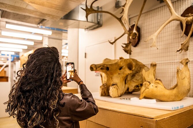 California Academy of Sciences NightLife Review - About Your Stay