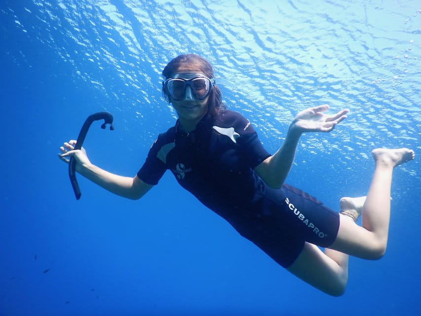 Calvi: Try Dive In The Calvi Bay