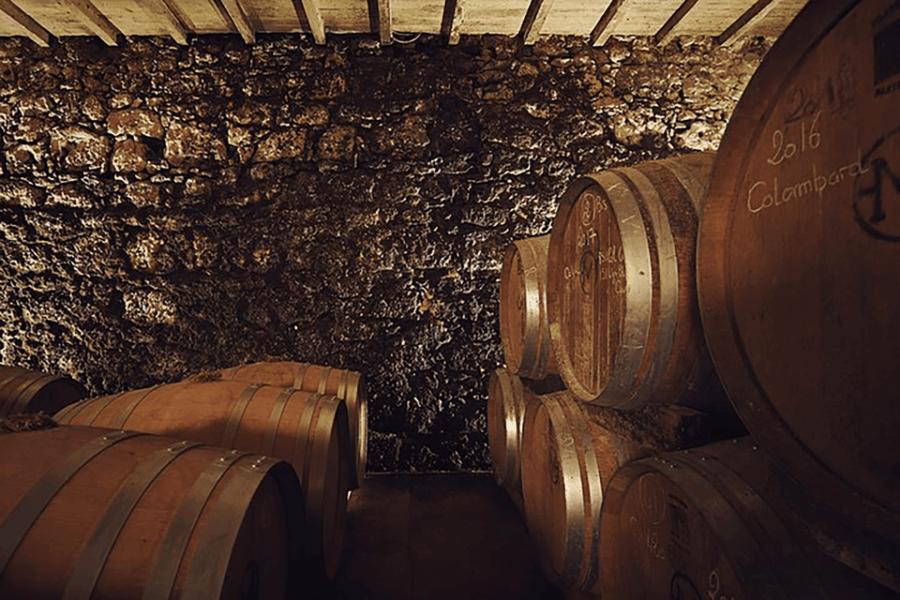 Château Arton Guided Tour and Armagnac Tasting