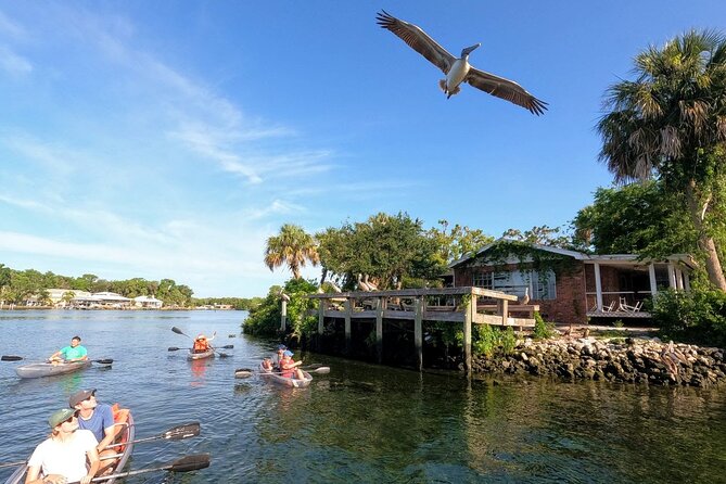 Clear Kayak Manatee Viewing Tour Review - About Your Stay