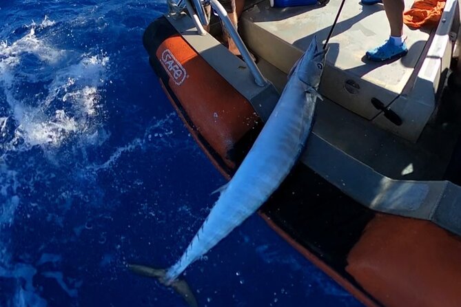 Custom Oahu Charter: Catch Mahi Mahi and Tuna or Whale Watching - Key Points