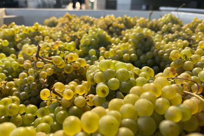 Custom Willamette Wine Tours From the Allison Inn and Spa - Key Points