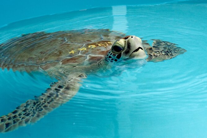 Discover the Marquesas Keys Private Experience - Overview of the Marquesas Keys Tour