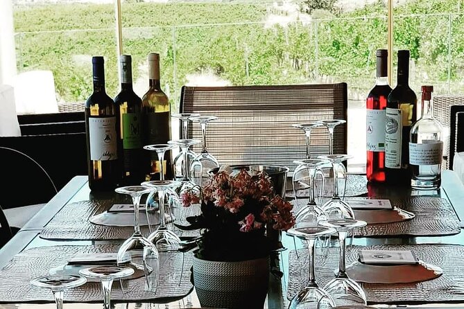 Domaine Paterianakis Organic Wine Tasting - Organic Wine Tasting Experience