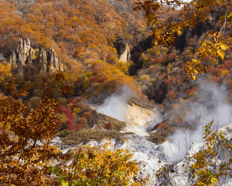 【Private】[Snow Monkey Park+Zenkoji Temple] From Nagano/Myoko - Key Points