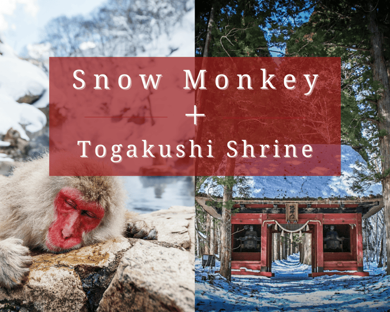 【Private】[Snow Monkey + Togakushi Shrine] From Nagano/Myoko - Key Points