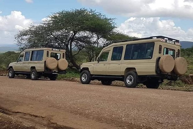 Experience A Taste of Local Life in Luxury Safari
