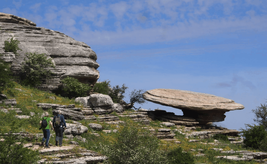 From Granada: Lobo Parque and Torcal De Antequera, Adventure Excursion - Activity Overview