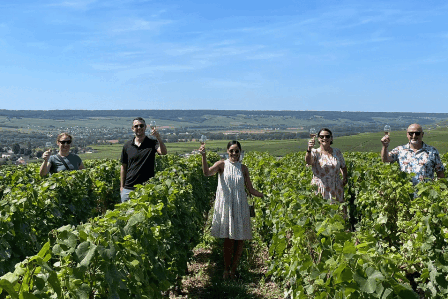 From Paris: Loire Valley Chambord Castle and Wine Tasting