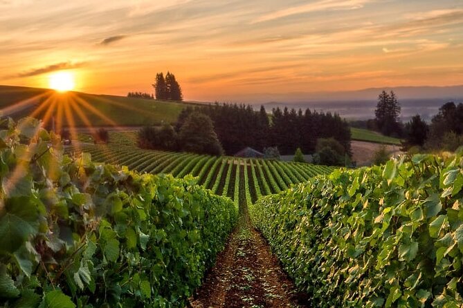 From Portland Private Willamette Valley Wine Tour - Overview of the Willamette Valley Wine Tour