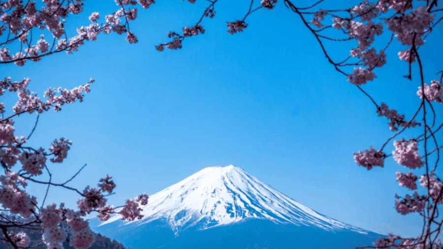 From Tokyo: Mount Fuji Customize Tour With English Driver